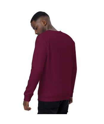 Sweatshirt écologique raglan unisexe Ultra Combi Home is where you park it online