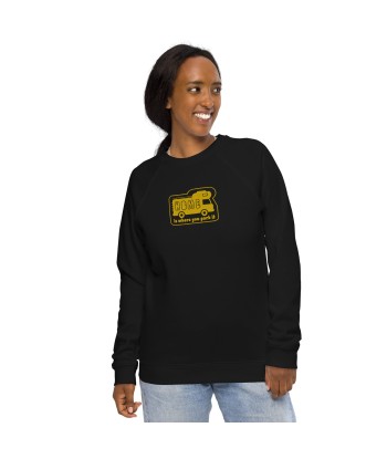 Sweatshirt écologique raglan unisexe Bold Camper Van Home is where you park it brodé gold Comparez plus de prix