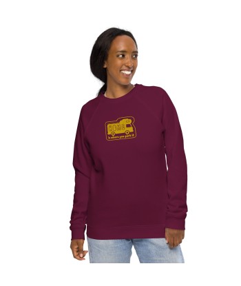 Sweatshirt écologique raglan unisexe Bold Camper Van Home is where you park it brodé gold Comparez plus de prix