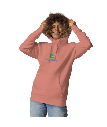 Sweat à capuche unisexe en coton Camperfan aqua/gold brodé du meilleur 