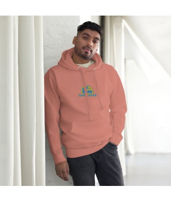 Sweat à capuche unisexe en coton Camperfan aqua/gold brodé du meilleur 