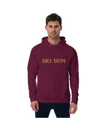 Sweat à capuche écologique Raglan unisexe Ski Bum grand motif brodé old gold l'évolution des habitudes 