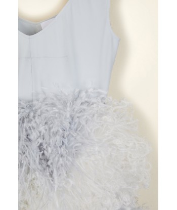 Feather-embellished dress de l' environnement