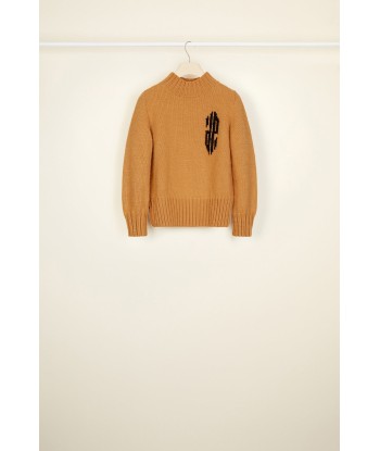 Cropped intarsia logo jumper Comparez plus de prix