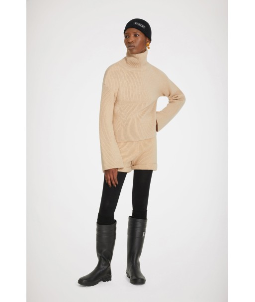 Rib knit turtleneck jumper in Merino wool du meilleur 