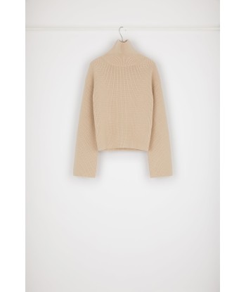 Rib knit turtleneck jumper in Merino wool du meilleur 