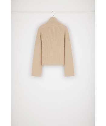 Rib knit turtleneck jumper in Merino wool du meilleur 