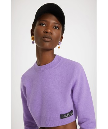 Cropped jumper in wool and cashmere les ligaments