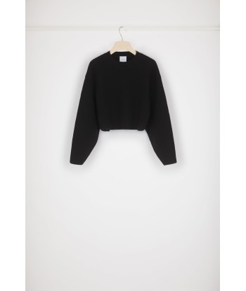 Cropped rib knit jumper in Merino wool offre 