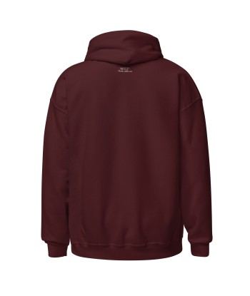 Sweat à capuche d'hiver unisexe License To Chill Mission Après-Ski sur couleurs foncées 50-70% off 