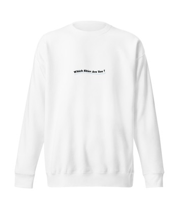 Sweatshirt premium unisexe Which skier are you? Speed Skier (Front/Back) on Light colors Comparez plus de prix