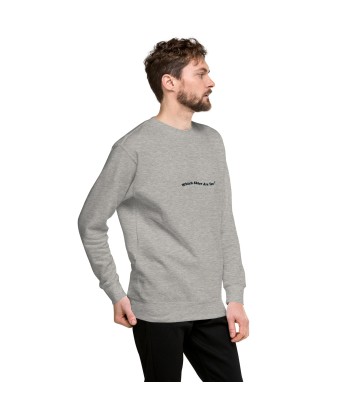 Sweatshirt premium unisexe Which skier are you? Speed Skier (Front/Back) on Light colors Comparez plus de prix