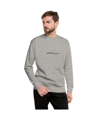 Sweatshirt premium unisexe Which skier are you? Speed Skier (Front/Back) on Light colors Comparez plus de prix