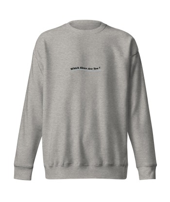 Sweatshirt premium unisexe Which skier are you? Speed Skier (Front/Back) on Light colors Comparez plus de prix